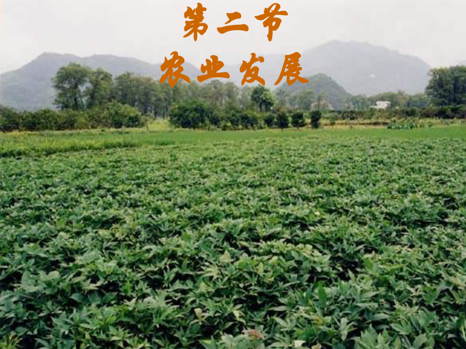 第四章第二节因地制宜发展农业2精品教育.ppt_第3页