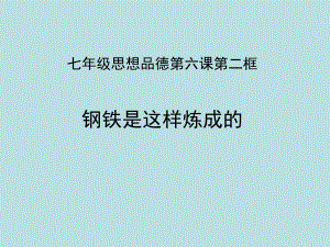 钢铁是这样炼成的张海玉精品教育.ppt