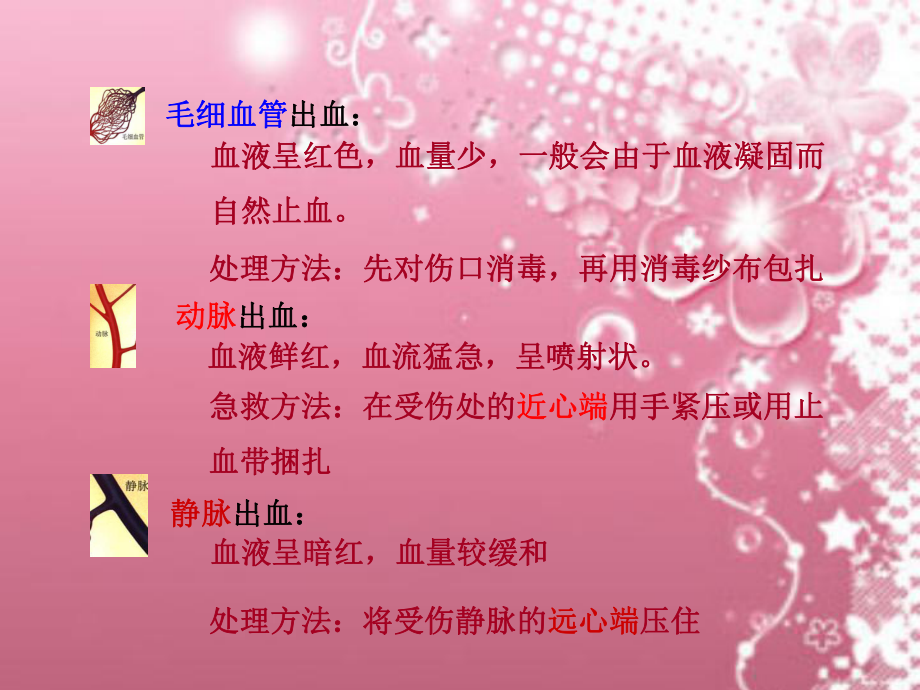 第四章第3节输送血液的泵—心脏1精品教育.ppt_第3页