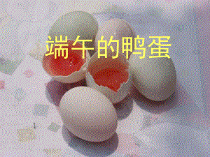 端午的鸭蛋 精品教育.ppt