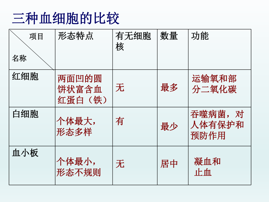 第四章第3节输送血液的泵—心脏3精品教育.ppt_第2页