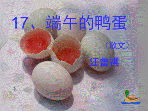 端午的鸭蛋课件精品教育.ppt