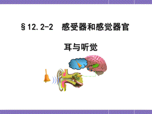 耳与听觉说课课件精品教育.ppt