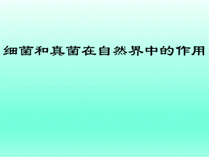第四节细菌和真菌在自然界中的作用课件人教新课标版精品教育.ppt