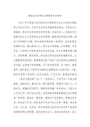 XX县处级领导主题教育发言材料.docx