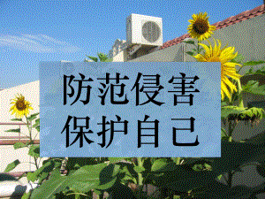 课件PPT：防范侵害保护自己精品教育.ppt