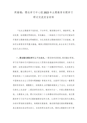 两篇稿：理论学习中心组2023年主题教育专题学习研讨交流发言材料.docx