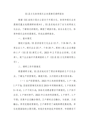 XX县文化体育娱乐业发展情况调研报告.docx