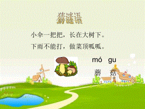 课件蘑菇该奖给谁精品教育.ppt