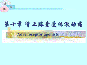 肾上腺素受体激动药.ppt
