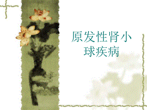 肾小球疾病诊疗技巧.ppt