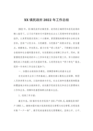 XX镇民政所2022年工作总结.docx