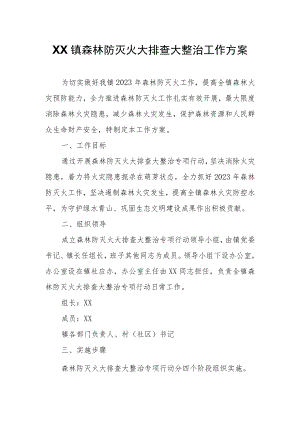XX镇森林防灭火大排查大整治工作方案.docx