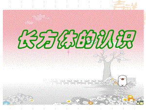 课件一长方体的认识精品教育.ppt