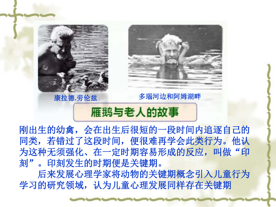 神经行为学检测方法.ppt_第2页