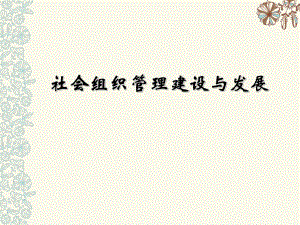 社会组织管理建设与发展.ppt