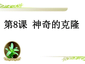 神奇的克隆第二课时课件.ppt