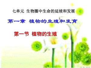 课件第一节植物的生殖精品教育.ppt