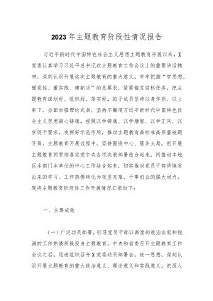 2023年主题教育阶段性情况报告.docx