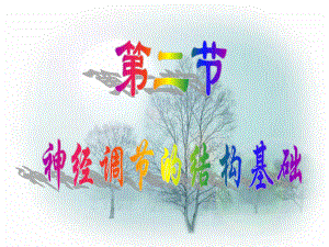 神经调节的结构基础.ppt