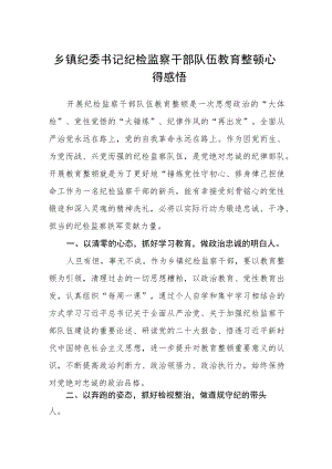 2023乡镇纪委书记纪检监察干部队伍教育整顿心得感悟（参考范文三篇）.docx