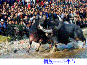 高山族丰节精品教育.ppt