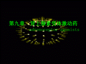 肾上腺素受体激动药.ppt