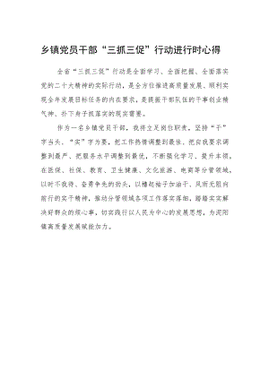 乡镇党员干部“三抓三促”行动进行时心得.docx