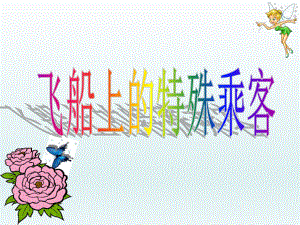 飞船上的特殊乘客 精品教育.ppt