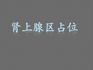 肾上腺区占位的影像诊断.ppt