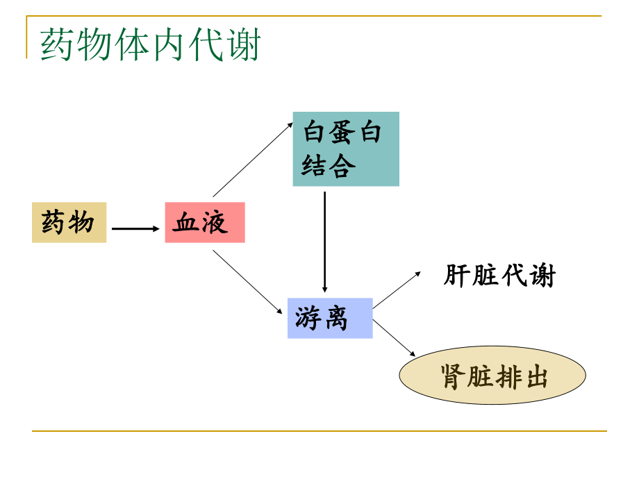 肾功能不全抗生素选择.ppt_第3页