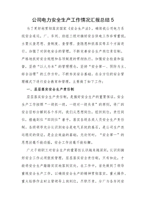 公司电力安全生产工作情况汇报总结5.docx