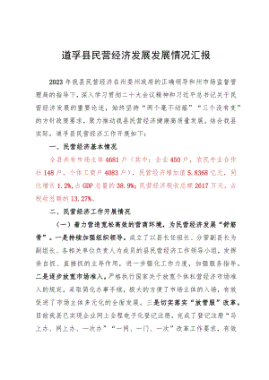 道孚县民营经济发展发展情况汇报.docx