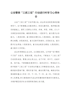 公安警察“三抓三促”行动进行时学习心得体会.docx