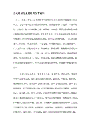 县处级领导主题教育发言材料.docx