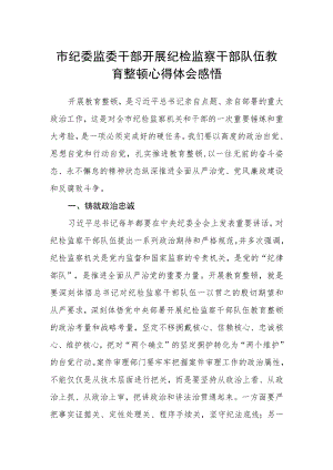 市纪委监委干部开展纪检监察干部队伍教育整顿心得体会感悟.docx
