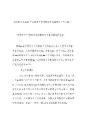 党支部关于2023年主题教育专项整治情况的报告(共二篇).docx