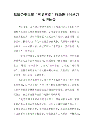 基层公安民警“三抓三促”行动进行时学习心得体会.docx