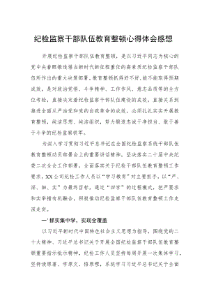 纪检监察干部队伍教育整顿心得体会感想汇编三篇.docx