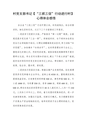 村党支部书记【“三抓三促”行动进行时】心得体会感悟.docx