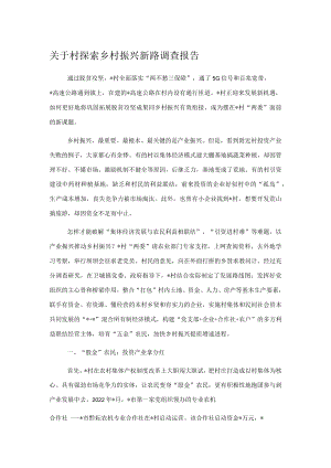 关于村探索乡村振兴新路调查报告.docx