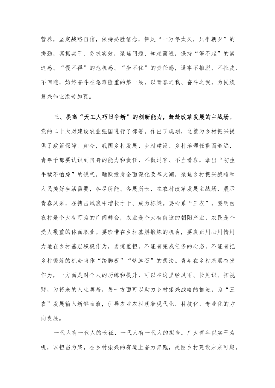 青年干部座谈交流发言:在乡村振兴“主战场”彰显青春担当.docx_第3页