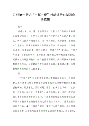 驻村第一书记“三抓三促”行动进行时学习心得感想四篇精选.docx