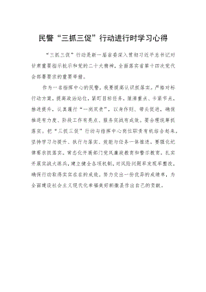 民警“三抓三促”行动进行时学习心得.docx