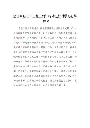 派出所所长“三抓三促”行动进行时学习心得体会.docx