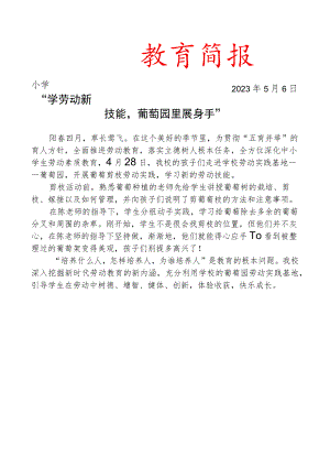 开展校内劳动实践活动简报.docx