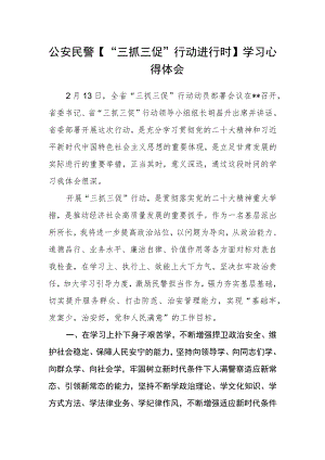 公安民警【“三抓三促”行动进行时】学习心得体会.docx