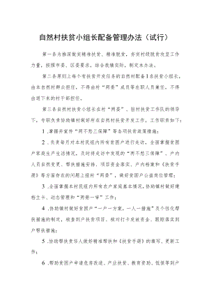 自然村扶贫小组长配备管理办法（试行）.docx