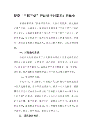 警察“三抓三促”行动进行时学习心得体会.docx