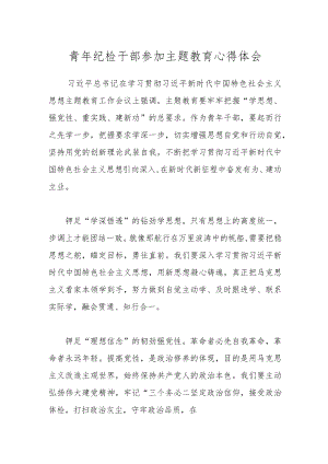 青年纪检干部参加主题教育心得体会.docx